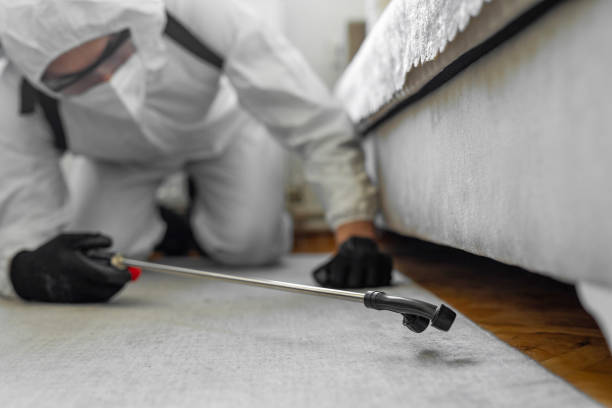 Professional Termite Control technician working in Riverside, IA